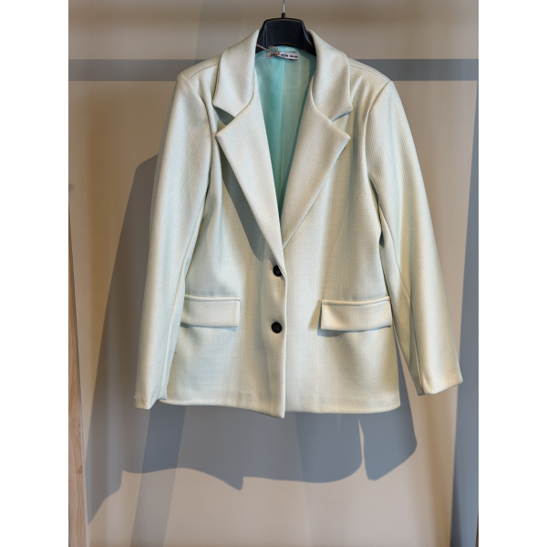 Blazer Pleun Mint Groen 