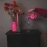 Borsten vaas Neon Roze