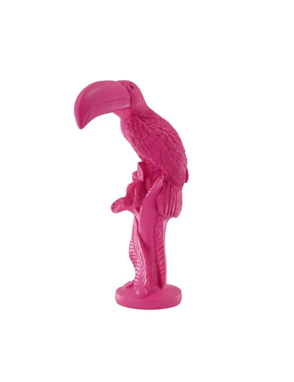 Toekan roze Toekan roze