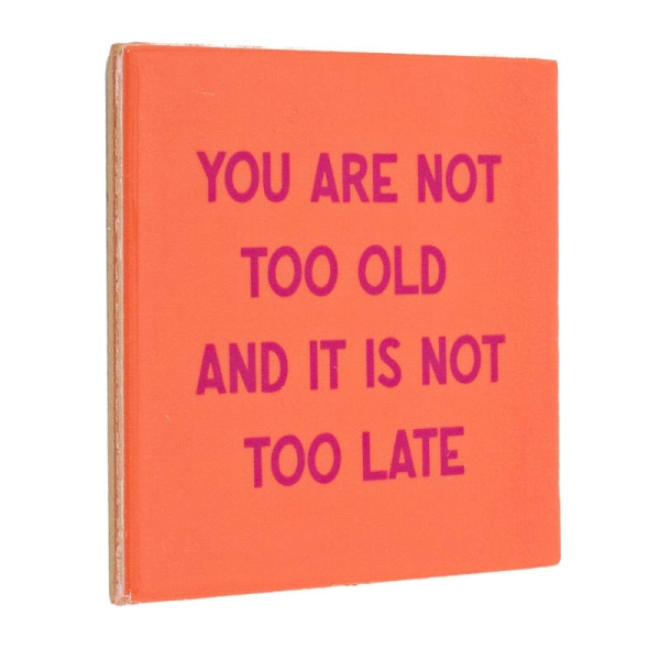 Tegeltje You Are Not Too Old