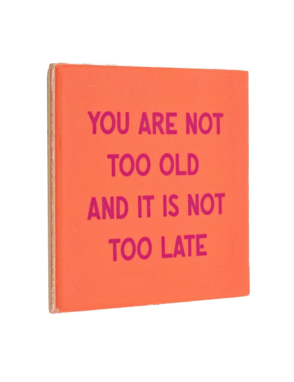 Tegeltje You Are Not Too Old